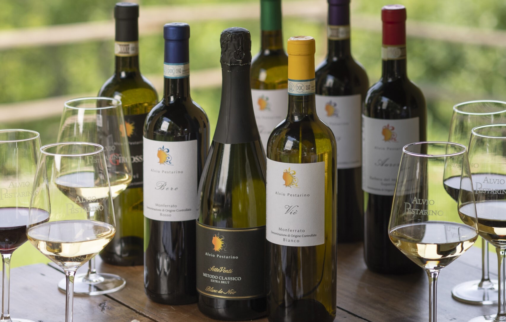 Degustazioni in cantina