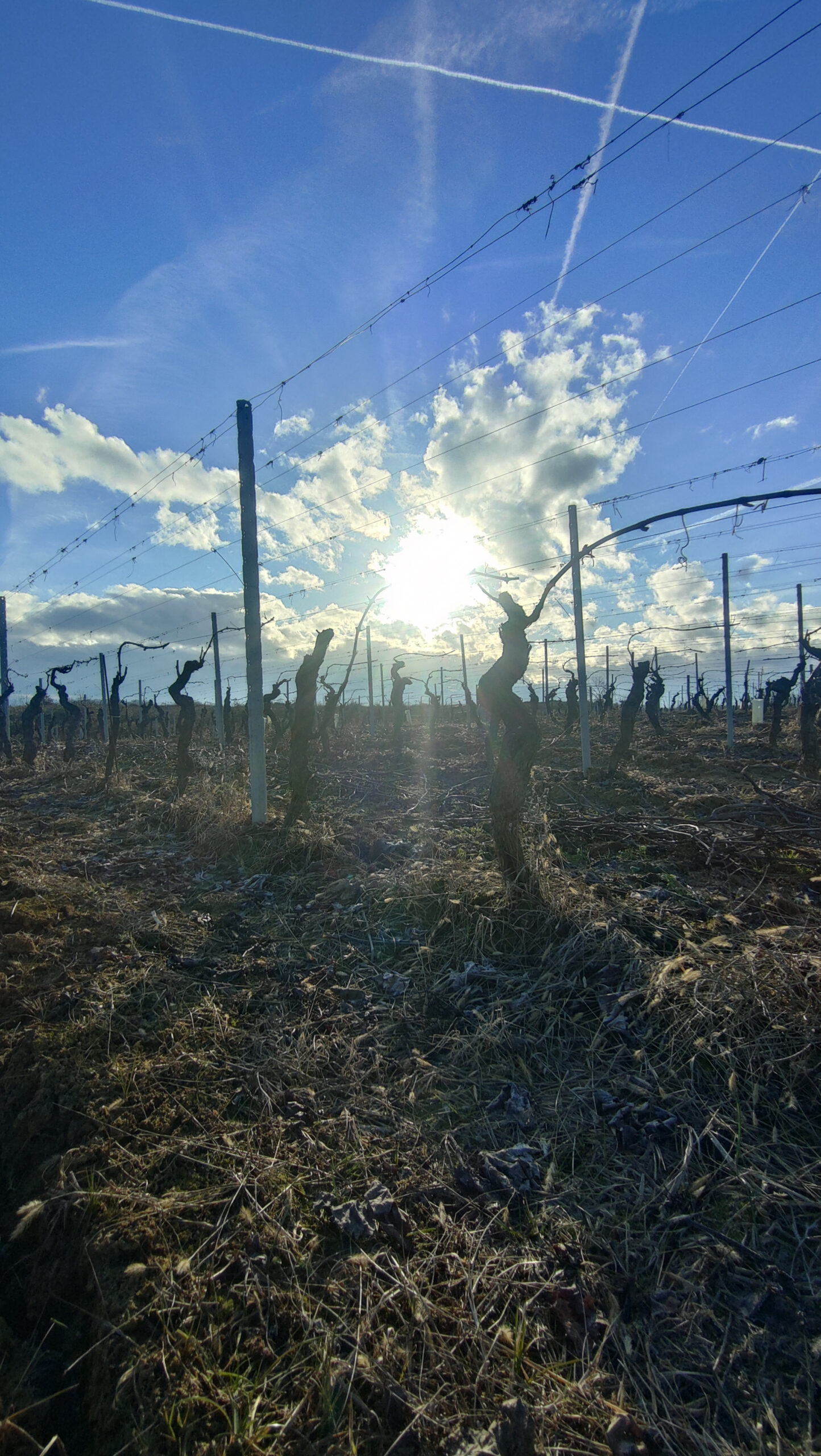 Territorio di Gavi